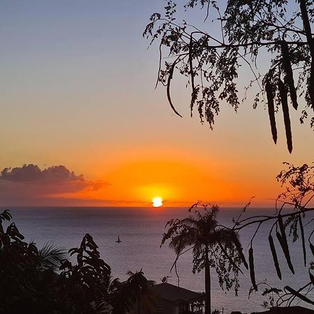Ti Sucrier Jaune - Douceur Caraibe Vue Mer Le Carbet Ngoại thất bức ảnh