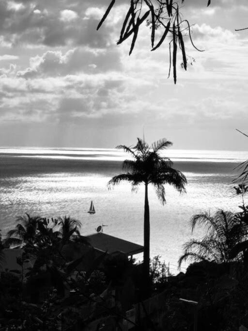 Ti Sucrier Jaune - Douceur Caraibe Vue Mer Le Carbet Ngoại thất bức ảnh