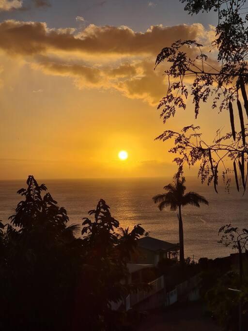 Ti Sucrier Jaune - Douceur Caraibe Vue Mer Le Carbet Ngoại thất bức ảnh