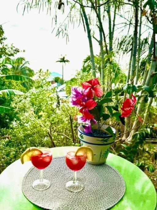 Ti Sucrier Jaune - Douceur Caraibe Vue Mer Le Carbet Ngoại thất bức ảnh