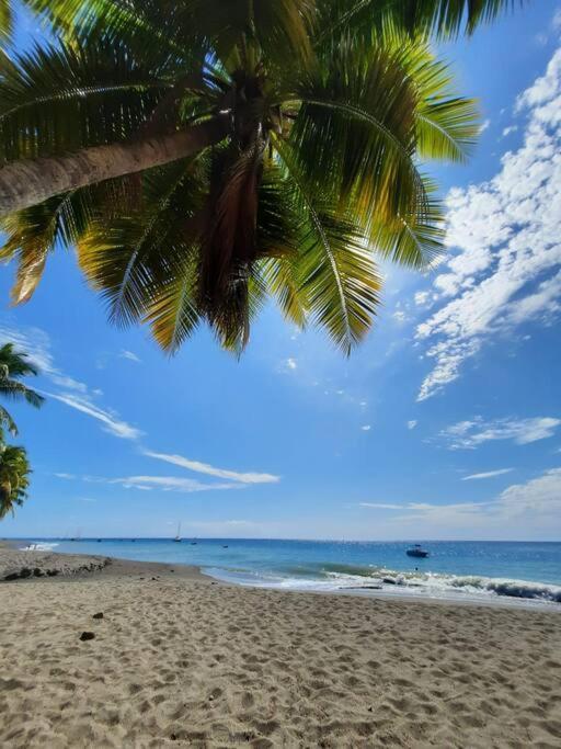 Ti Sucrier Jaune - Douceur Caraibe Vue Mer Le Carbet Ngoại thất bức ảnh