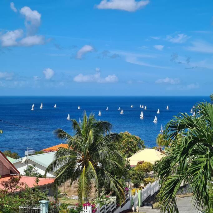 Ti Sucrier Jaune - Douceur Caraibe Vue Mer Le Carbet Ngoại thất bức ảnh